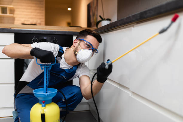 Best Pest Prevention Services  in Warner, OK