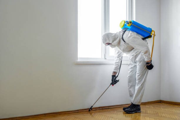 Best Insect Control  in Warner, OK