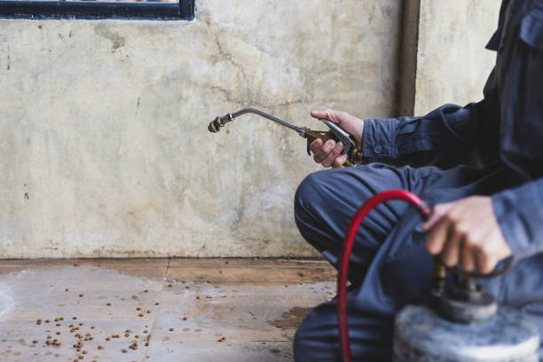 Best Mosquito Control Services  in Warner, OK