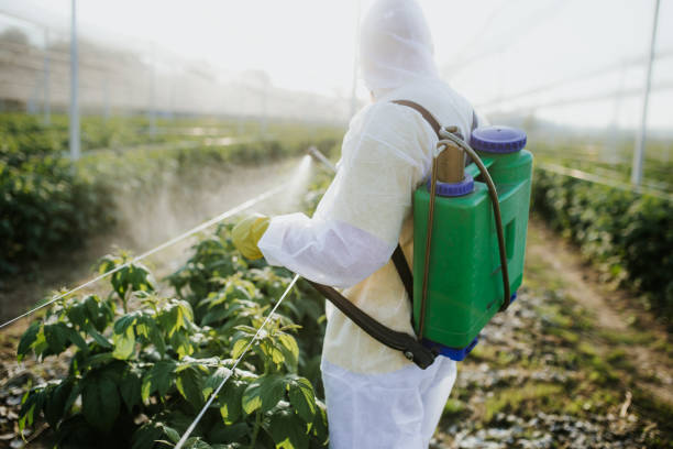 Best Pest Removal Services  in Warner, OK